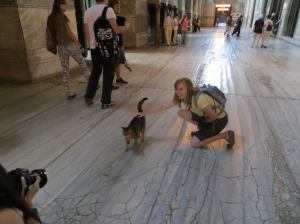 Hagia Sophia Cat